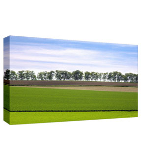 digitaldruck-auf-leinwand_m.jpg