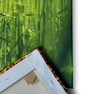 leinwandbilder-kunstwerke-fuer-ihr-ambiente-86_m.jpg