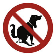 Verbotsschild 'Hier ist kein Hundeklo' aus Aluminium